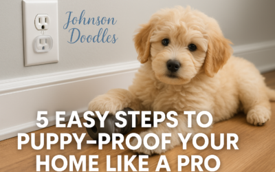 Johnson Doodles: 5 Easy Steps to Puppy-Proof Your Home Like a Pro